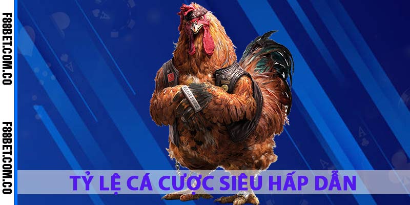 ty-le-ca-cuoc-sieu-hap-dan